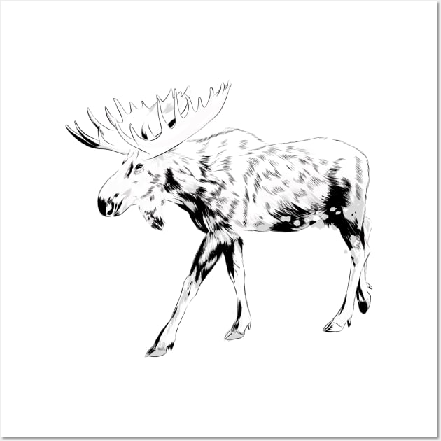 Moose sketch Wall Art by Onceer